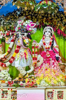 Radha Vrindavan Chandra, Radha Krishna Modern Art, Navratri Dress, Good Morning Roses, Gita Quotes, Hindu Dharma, Krishna Wallpapers