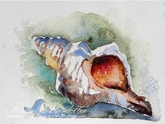 a watercolor painting of a sea shell