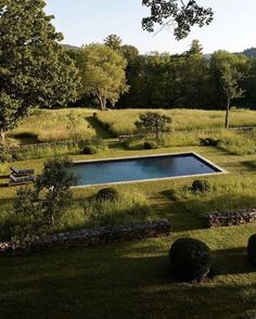 an outdoor swimming pool in the middle of a grassy area with trees and bushes around it