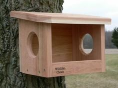 a bird house built into the side of a tree in front of a grassy field