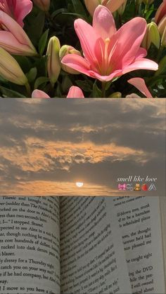 an open book with pink flowers in the foreground and sunset in the background behind it