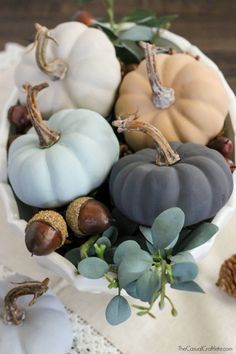 a white bowl filled with different types of pumpkins