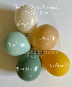 four balloons with the names of them in different colors