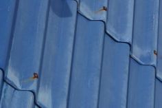 a blue metal roof with two birds on it