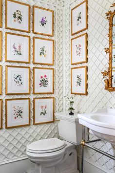 a white toilet sitting in a bathroom next to a wall with framed pictures on it