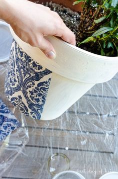 a person is holding a potted plant on a table with plastic wrap around it