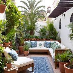 an outdoor patio with potted plants and couches