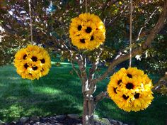 three sunflowers are hanging from the branches of a tree in front of a rock wall