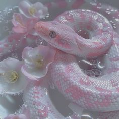 a pink and white snake in water with flowers