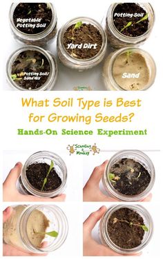 an image of what soil type is best for growing seeds? hand - on science experiment