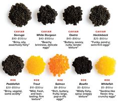 the different types of cavias are shown in this chart, with each type of cavia