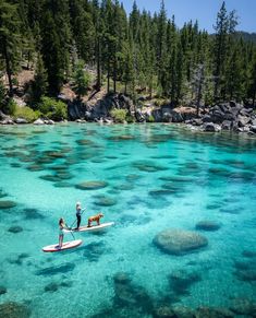 two people and a dog are paddle boarding in clear blue water near the shore of a mountain lake