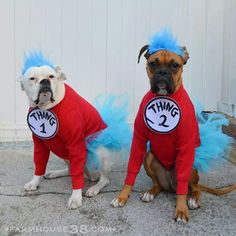 two dogs dressed up as thing 1 and thing 2 sitting next to each other on the ground