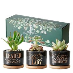 three small pots with succulents in them next to a box that says, leader and mentor