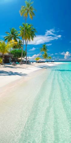 the beach is lined with palm trees and thatched huts