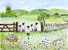 watercolor painting of sheep standing in the grass near a fence and field with red poppies