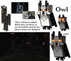 an image of some sort of animal in the dark with text that reads owl they will hunt rabbits, when they eat them, or are fed rabbit meat by the player bones are dropped