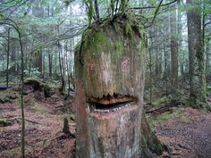 a large tree stump with a face carved into it's trunk in the woods