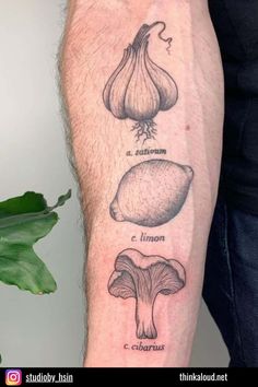 a person with a tattoo on their arm showing different types of mushrooms and cloves