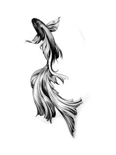 a black and white drawing of a fish