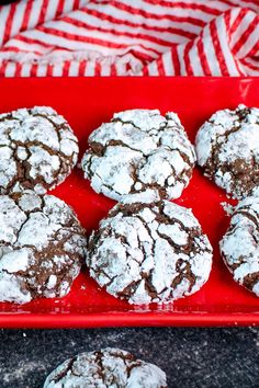 chocolate crinkle cookies on a red tray with white powdered sugar coatings