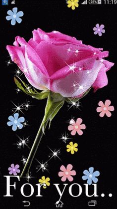 a pink rose on a black background with flowers and sparkles in the bottom right corner