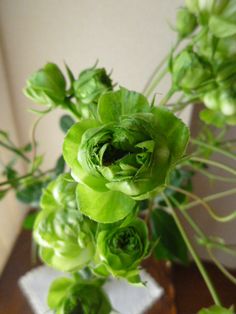 some green flowers are in a vase on a table