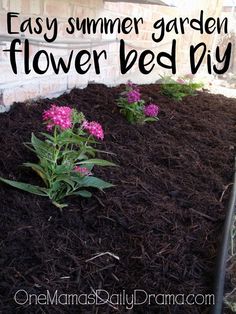 a flower bed with flowers in it and the words easy summer garden flower bed diy