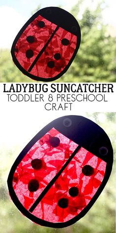 ladybug suncather craft for toddlers and preschool