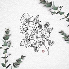 some flowers and leaves on a white paper with the letter b in it's center