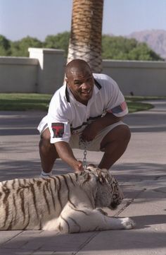 a man is petting a white tiger on the ground in front of a palm tree