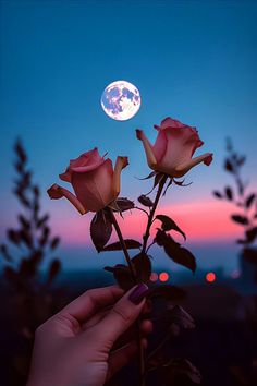 a person holding two roses with the moon in the background