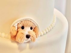 a cake with a dog's head sticking out of it