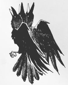 a black and white drawing of an owl on a branch with its wings spread out