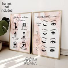 two framed posters with different types of eyeliners and lashes on them, next to a potted plant