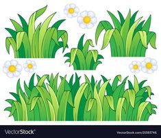 green grass and flowers with white daisies on the top, bottom and bottom view