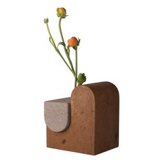 there is a plant growing out of a concrete block