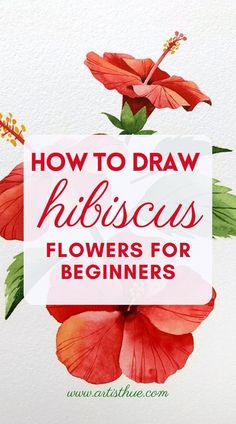 the words how to draw hibiscus flowers for beginners