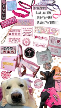 a collage of dog related items and stickers