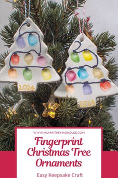 two christmas tree ornaments hanging from a pine tree with text overlay that reads fingerprint christmas tree ornaments easy to make