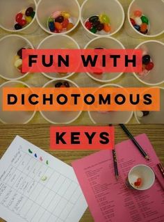 the words fun with dichotomous keys are displayed in front of cups and bowls