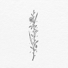 a black and white drawing of some flowers