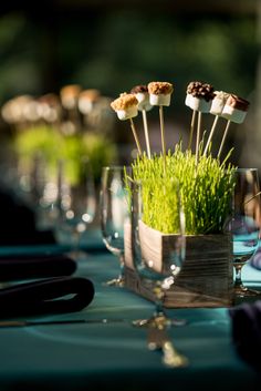 a table topped with glasses filled with green plants and marshmallows on sticks