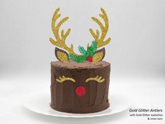 a chocolate cake with reindeer antlers on top