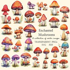 an illustration of many different types of mushrooms