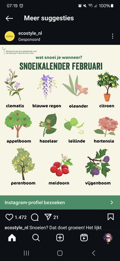 an iphone screen showing the different types of flowers and plants in english, german and spanish