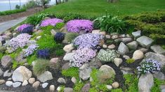 a rock garden with purple and white flowers in the center, along side a road