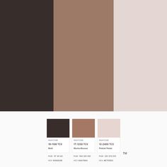 the color palette is brown and beige