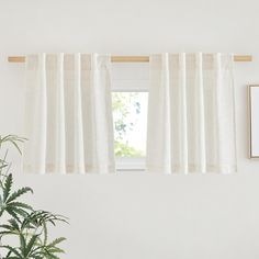 a window with white curtains and a potted plant