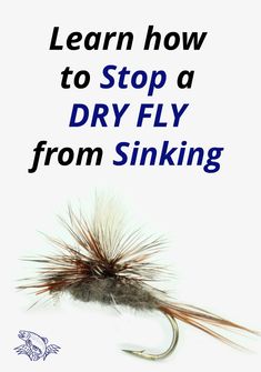 an image of a fly with the words learn how to stop a dry fly from sinking